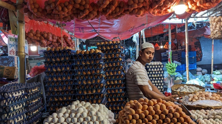 ডিমের হালহকিকত