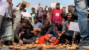 মহাসড়কে আলু ফেলে প্রতিবাদ