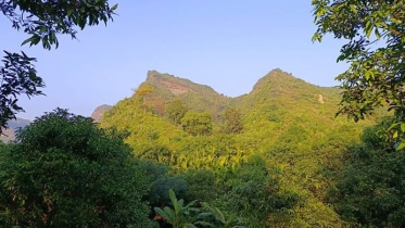 টেকনাফের পাহাড়ে ৫ জনকে অপহরণ